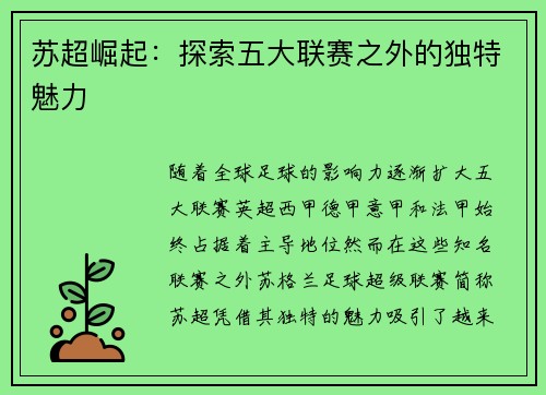 苏超崛起：探索五大联赛之外的独特魅力